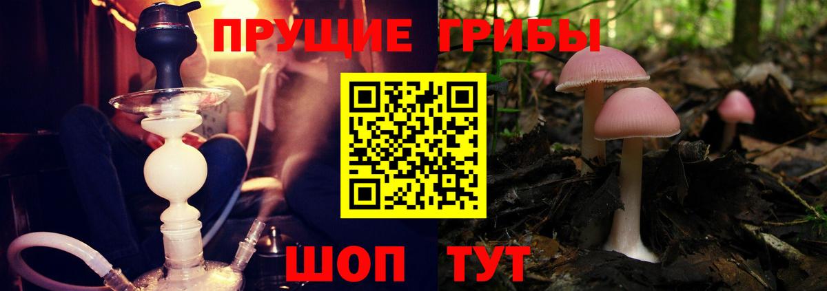 Галлюциногенные грибы GOLDEN TEACHER Воскресенск